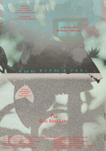 Poster de la película The Gray Blind Lake