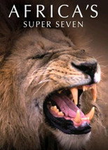 Poster de la película Africa's Super Seven