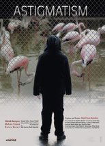Poster de la película Astigmatism