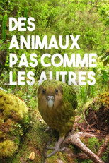 Poster de la película Des animaux pas comme les autres