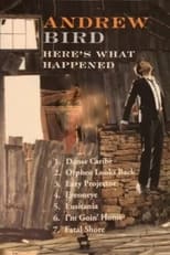 Poster de la película Andrew Bird: Here's What Happened