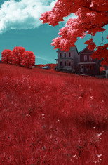 Poster de la película Braddock, PA