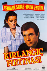 Poster de la película Kırlangıç Fırtınası