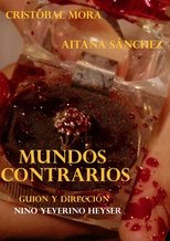 Poster de la película Mundos Contrarios