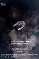 Poster de la película The Gray Shrimp Report