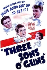 Poster de la película Three Sons o' Guns