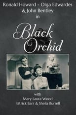 Poster de la película Black Orchid