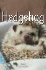 Poster de la película Hedgehog