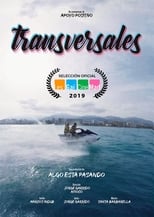 Poster de la película Transversales