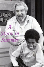 Poster de la película A Storm in Summer