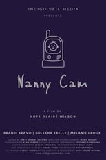 Poster de la película Nanny Cam