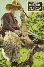 Poster de la película The Gentle Cyclone