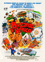 Poster de la película Buscando a Perico