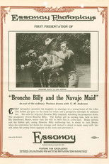 Poster de la película Broncho Billy and the Navajo Maid