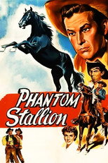 Poster de la película Phantom Stallion