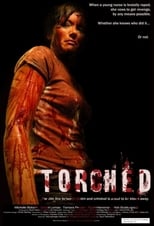Poster de la película Torched