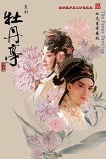 Poster de la película The Peony Pavilion Young Lovers' Edition