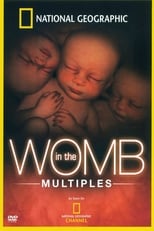 Poster de la película In the Womb: Multiples