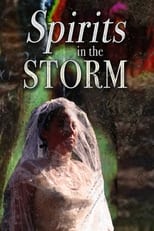 Poster de la película Spirits in the Storm