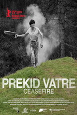 Poster de la película Ceasefire