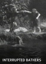 Poster de la película Interrupted Bathers