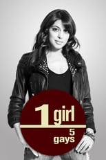 Poster de la serie 1 Girl 5 Gays