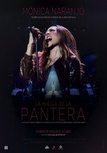 Poster de la película La huella de la pantera