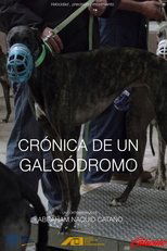Poster de la película Crónica de un galgódromo
