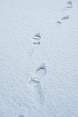 Poster de la película Terza passeggiata - Sulla neve
