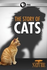 Poster de la película The Story of Cats