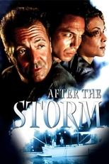 Poster de la película After the Storm