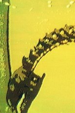 Poster de la película War or Peace?