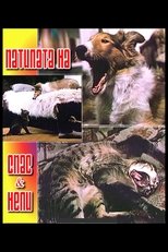 Poster de la película The Adventures of Spas and Nelly