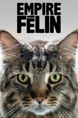 Poster de la película Cat Empire