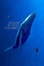 Poster de la película Des baleines, des tortues et des hommes