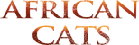 Logo African Cats