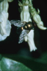 Poster de la película Stuck in a dream