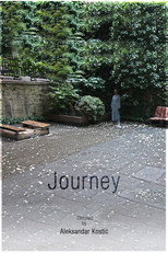 Poster de la película Journey