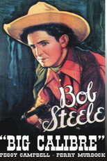 Poster de la película Big Calibre