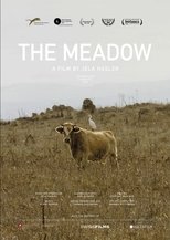 Poster de la película The Meadow
