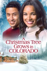 Poster de la película A Christmas Tree Grows in Colorado