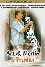 Poster de la película Artuš, Merlin a Prchlíci