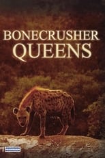 Poster de la película Bonecrusher Queens