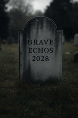 Poster de la película Grave Echos
