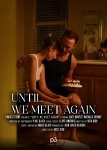 Poster de la película Until We Meet Again