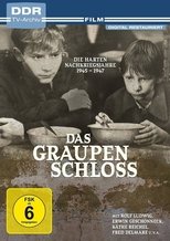 Poster de la película Das Graupenschloß
