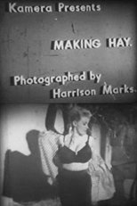 Poster de la película Making Hay