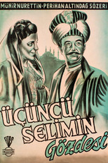 Poster de la película The Favorite Concubine of Selim III