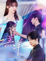 Poster de la serie 羔羊