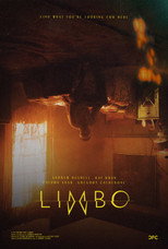 Poster de la película Limbo